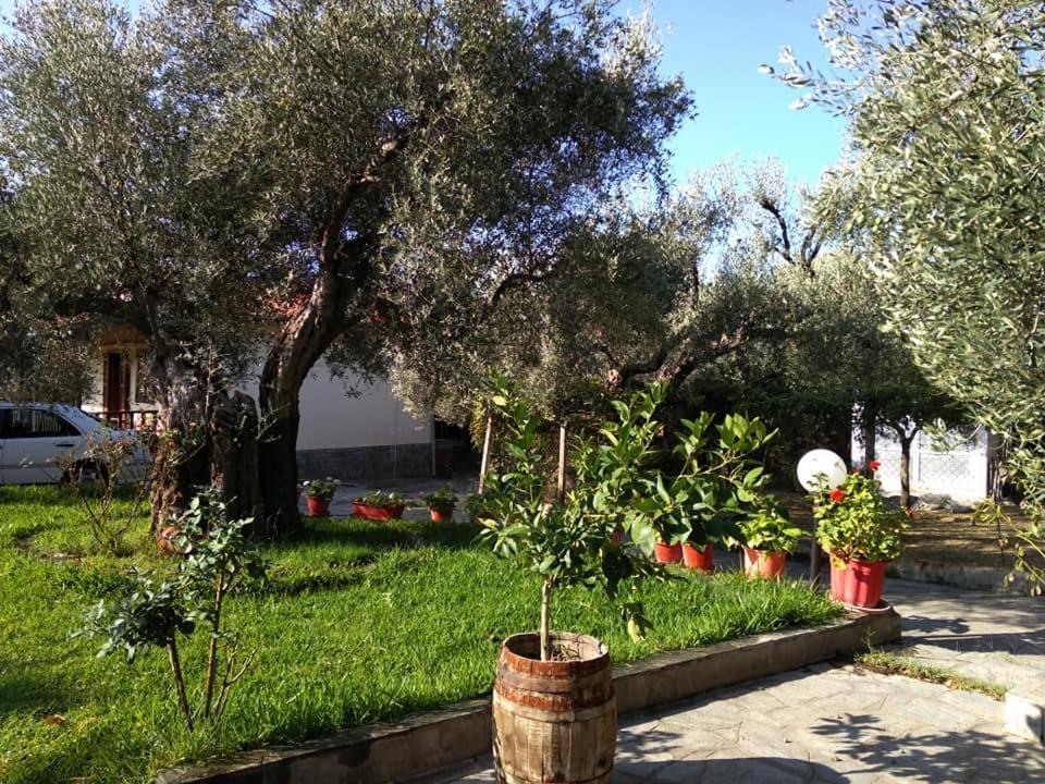 Villa Asimidou Agia Paraskevi  Esterno foto
