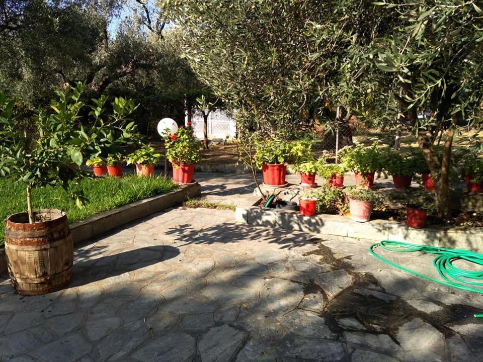 Villa Asimidou Agia Paraskevi  Esterno foto