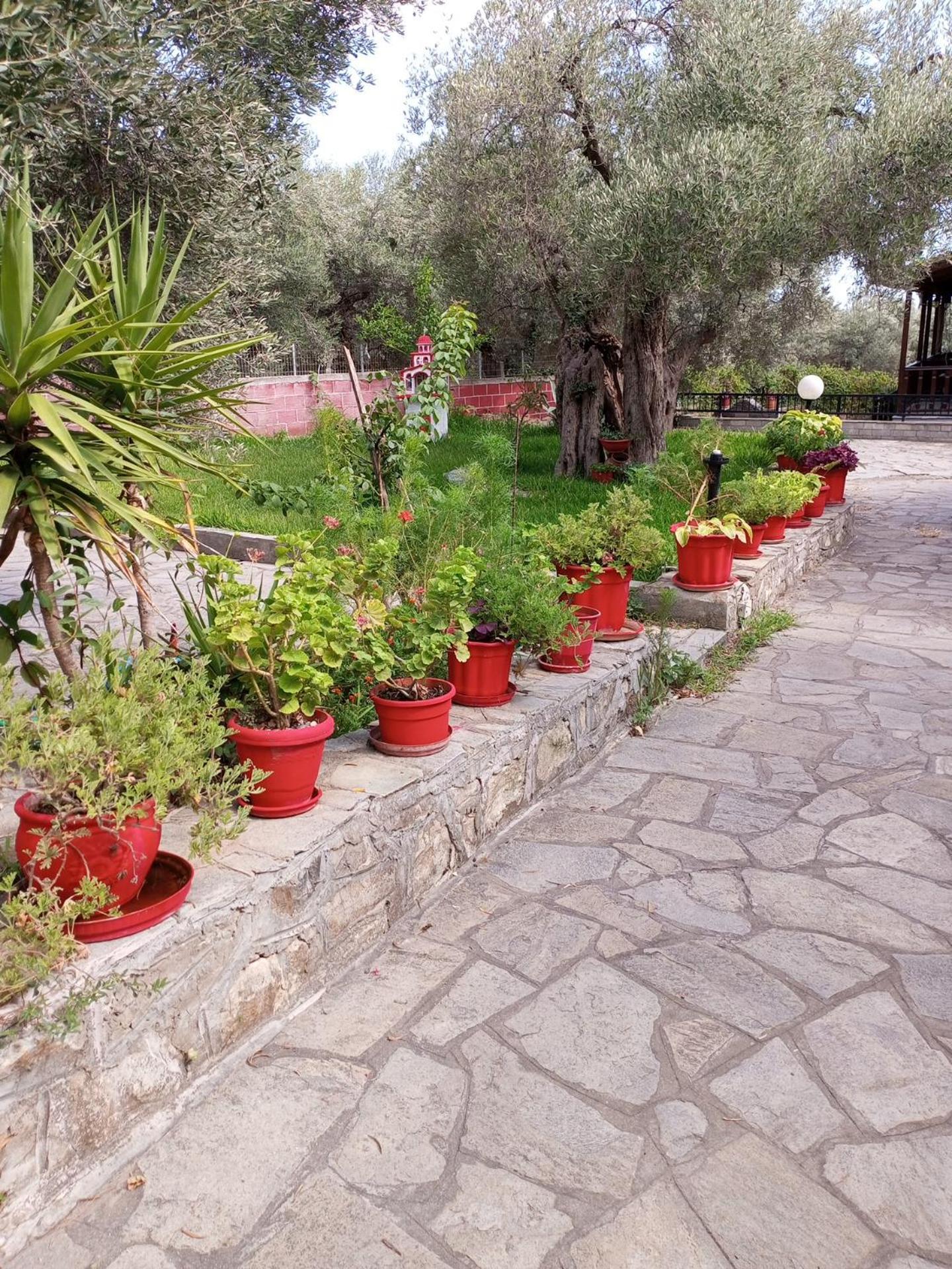 Villa Asimidou Agia Paraskevi  Esterno foto