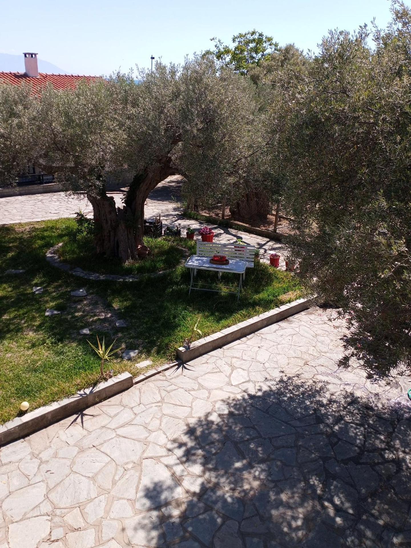 Villa Asimidou Agia Paraskevi  Esterno foto